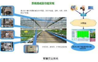 目前世界上农业较为发达的国家主要开发出了以下几类农业机器人